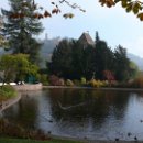 FVCW (28)-Weicht-Ulrich